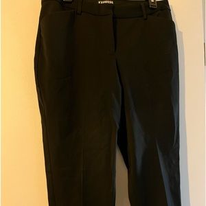 Express Dress Pants
